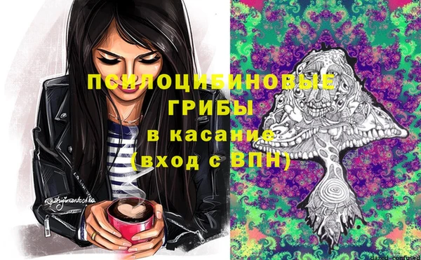 соль курить ск Вяземский