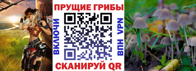 Псилоцибиновые грибы ЛСД  Купить  Богучар 